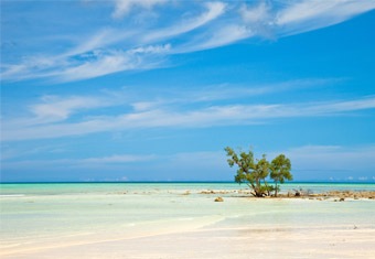Andaman and Nicobar Customized Holidays Tour Highlights