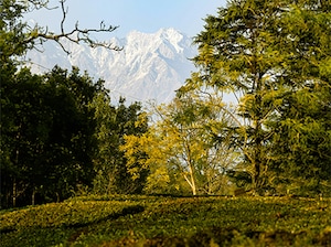 Soulful Himalayas Tour