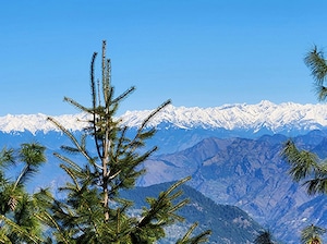 Hidden Himalayas Tour