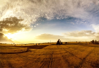 Himachal Pradesh Customized Holidays Tour Highlights