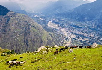Himachal Pradesh Customized Holidays Tour Highlights