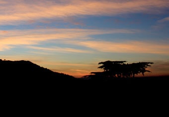 Himachal Pradesh Customized Holidays Tour Highlights