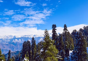 Himachal Pradesh Customized Holidays Tour Highlights