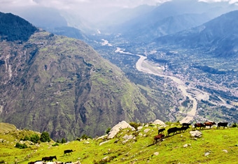 Himachal Pradesh Customized Holidays Tour Highlights