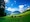 Kashmir - Paradise on Earth (IBJK1) Tour Package