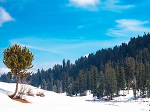 Kashmir Highlights Tour