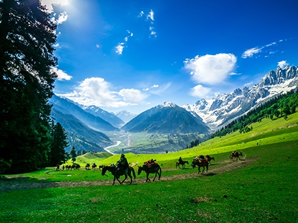 Kashmir with Gulmarg stay Tour