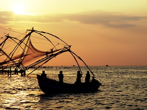 Munnar Alleppey Fixed Departure Tour