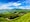 Kerala Highlights (IBKL7) Tour Package