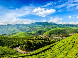 Kerala Highlights Tour