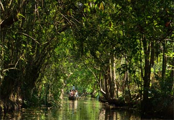Kerala Customized Holidays Tour Highlights