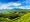 Munnar Thekkady Alleppey