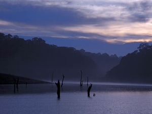 Hills Beaches and Backwaters of Kerala Tour