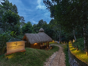 Wayanad with Pool Villa Tour