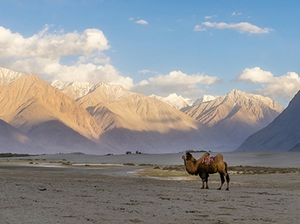 Ladakh & Beyond Tour