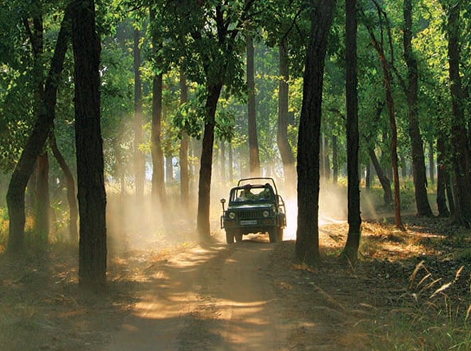 Temples, Wildlife and Nature of Madhya Pradesh Exp 2