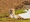 Maharashtra Wildlife & Heritage