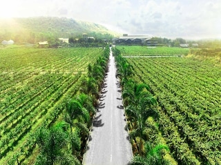 Shirdi Nashik (Sula Vineyards) Tour