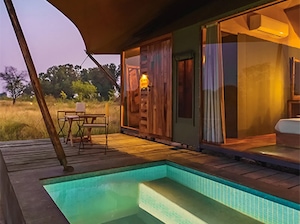 Trees N Tigers Tadoba Tour