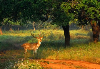 Maharashtra Customized Holidays Tour Highlights