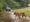 Corbett Safari @ 24000