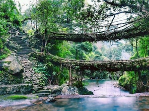 Shillong with Cherrapunjee and Mawlynnong Tour