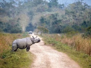 Assam Meghalaya Kaziranga Tour