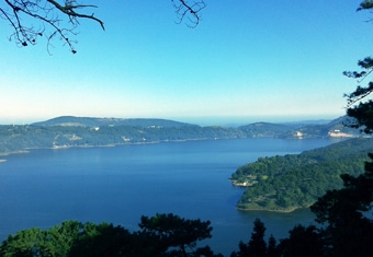 North East Customized Holidays Tour Highlights