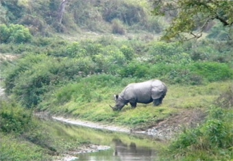 North East Customized Holidays Tour Highlights