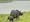 Kaziranga Safari @ 16000