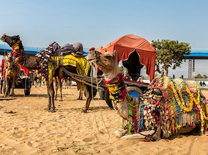Jaipur Pushkar Udaipur Fixed Date Holiday Tour
