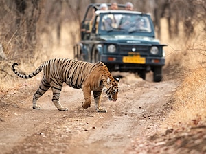 Rajasthan Roars & Royals Tour