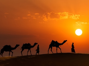 Rajasthan Desert Festival Tour