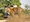 Jaipur Ranthambore Post Tour Holiday