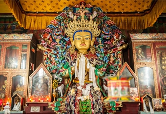 Sikkim Darjeeling Customized Holidays Tour Highlights