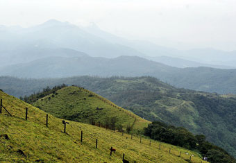 South India Customized Holidays Tour Highlights