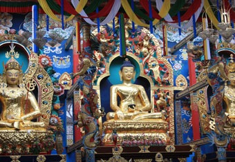South India Customized Holidays Tour Highlights