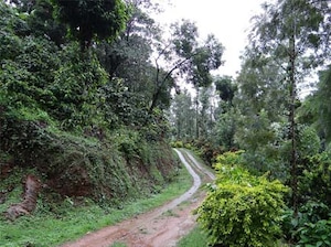 Coorg Ooty Kodai Tour