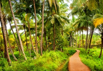 South India Customized Holidays Tour Highlights