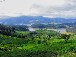 Ooty Mysore Getaway Tour