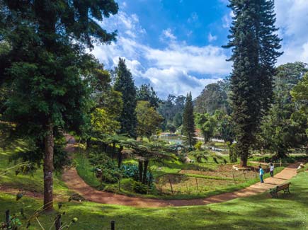South India Customized Holidays Tour Highlights
