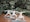 Six Senses Vana - Wellness (IBUT2) Tour Package