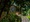 Vanghat – The wildlife lodge Corbett