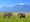 Masai Mara and Amboseli with Kenya