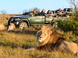 South Africa with Kruger Tour
