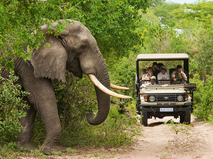 South Africa – Cape Town, Garden Route & Kruger Tour