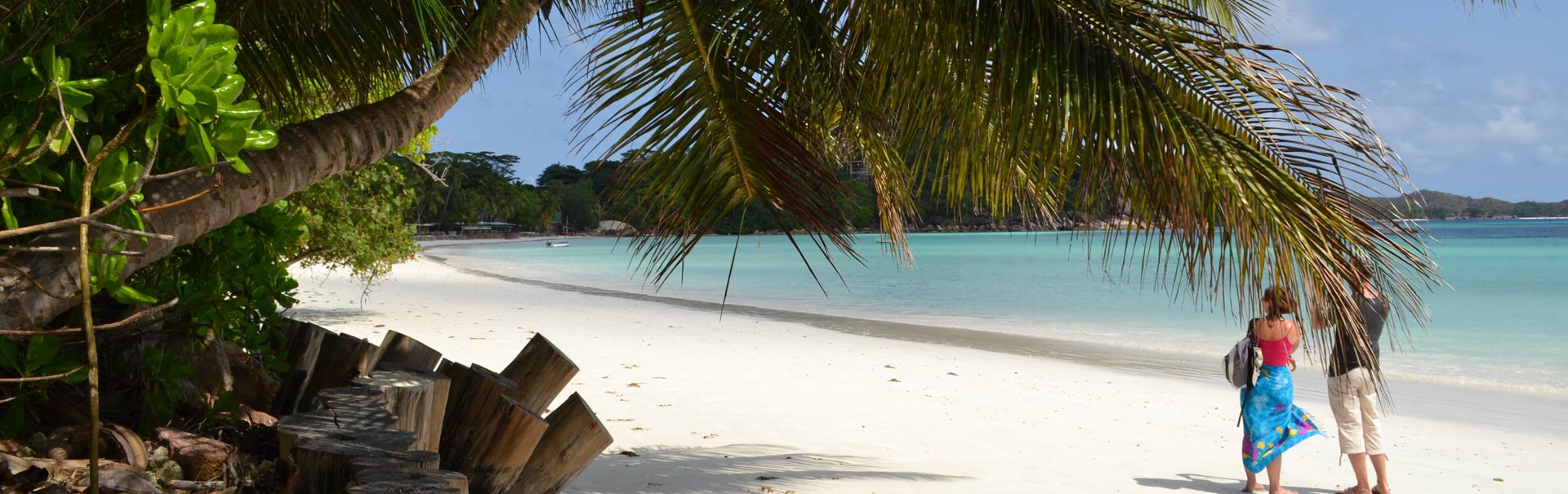 Love in the Tropics: Dreamy Honeymoon Destinations in Seychelles