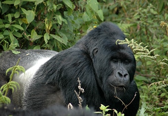 Africa Customized Holidays Tour Highlights
