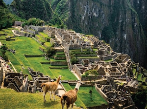 Highlights Of Peru Tour
