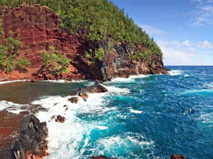 Honeymoon in Hawaii and Los Angeles Tour